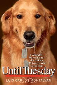Dog hero