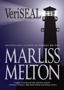 VeriSEAL book cover
