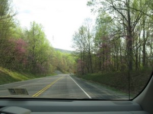 Blueridge Mtn drive