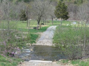Dwayne's trailer site