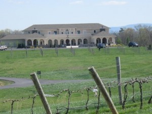 Cross Keys Vineyard