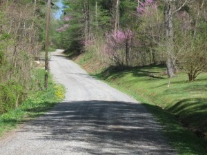Road to Ike's Cabin